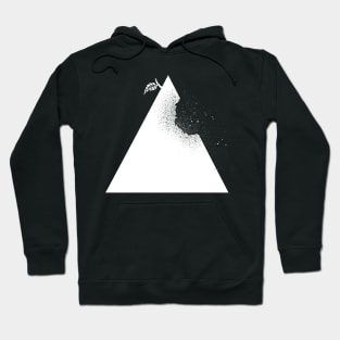 Apple pyramid Hoodie